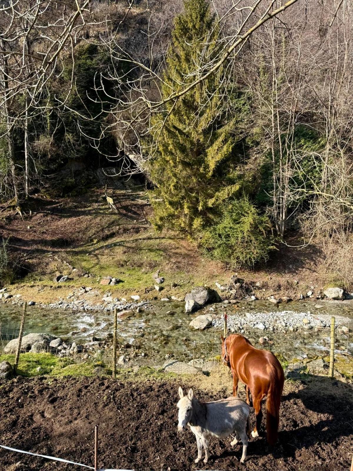 La Vecchia Chioderia Alojamento de Turismo Rural