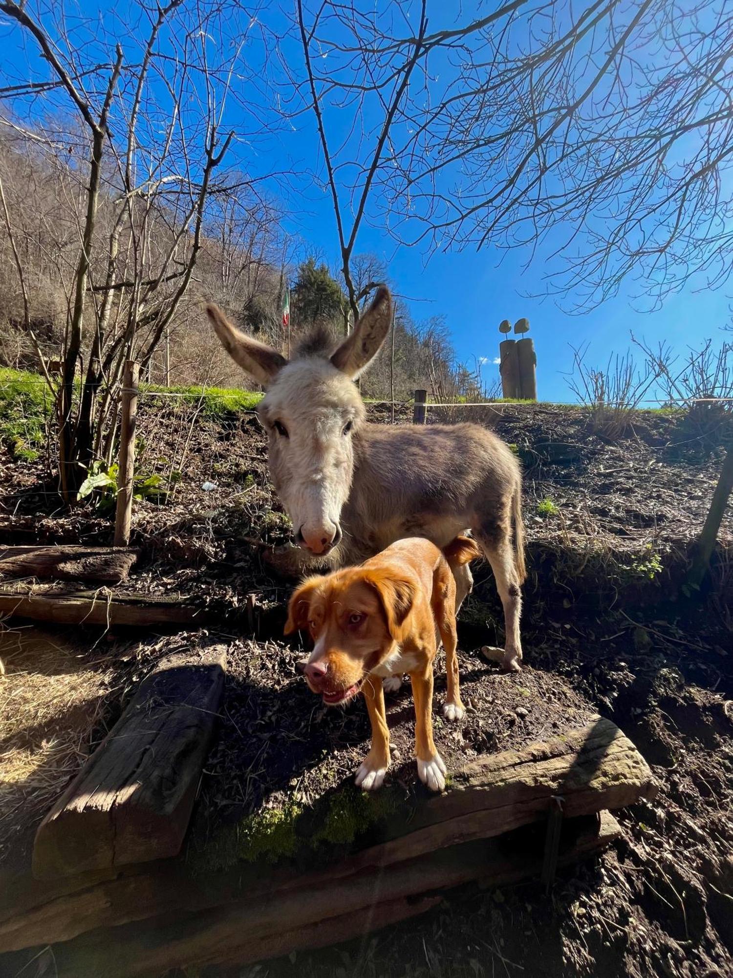 Alojamento de Turismo Rural La Vecchia Chioderia Grandola ed Uniti