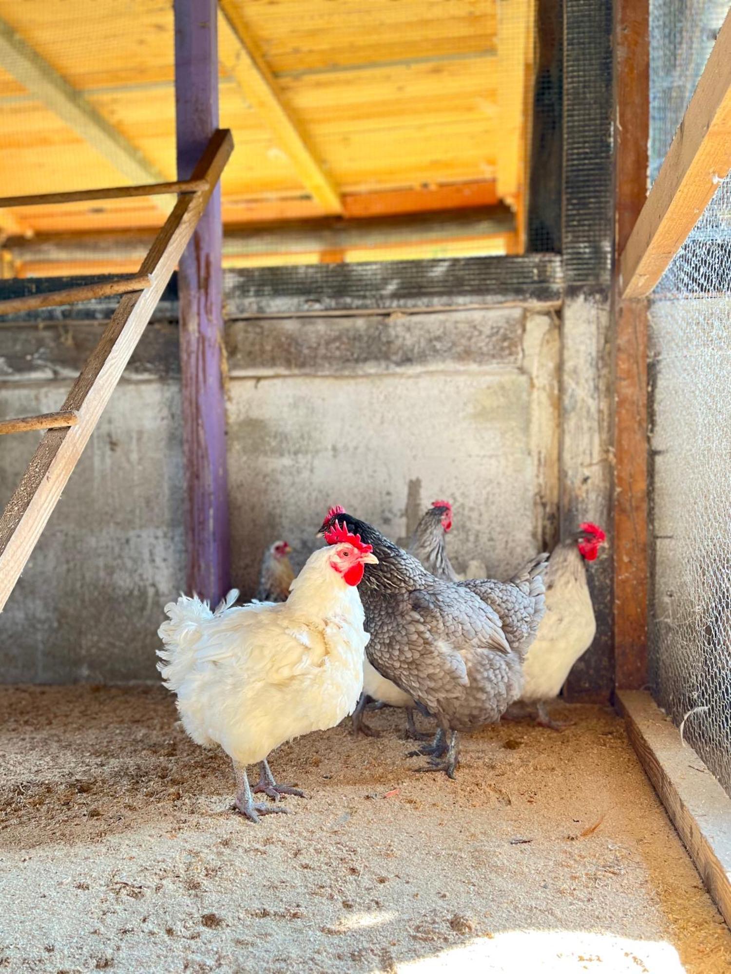 La Vecchia Chioderia Vakantieboerderij