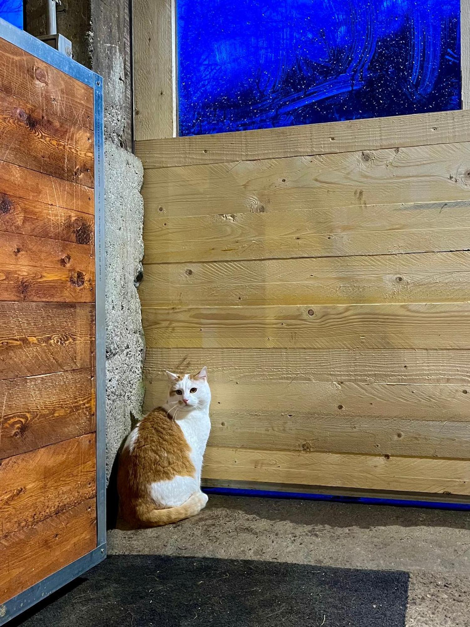 La Vecchia Chioderia Vakantieboerderij *