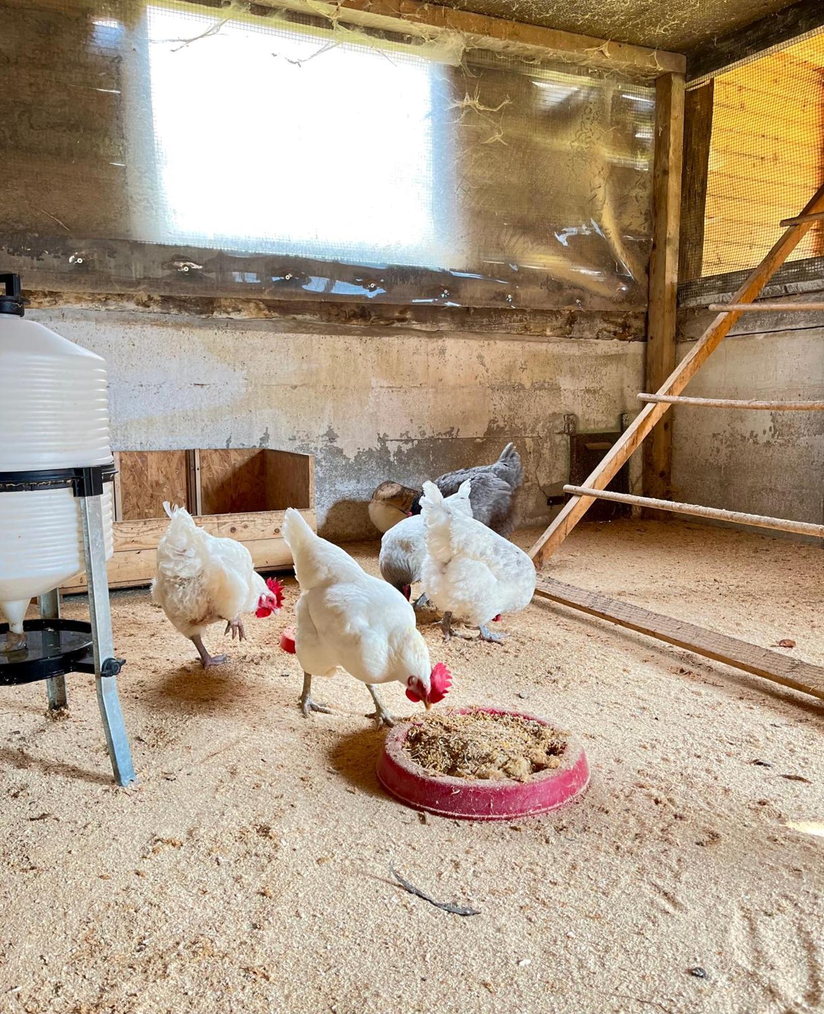 Vakantieboerderij La Vecchia Chioderia