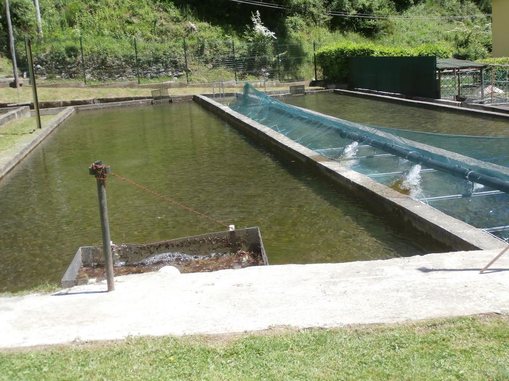 Vakantieboerderij La Vecchia Chioderia *