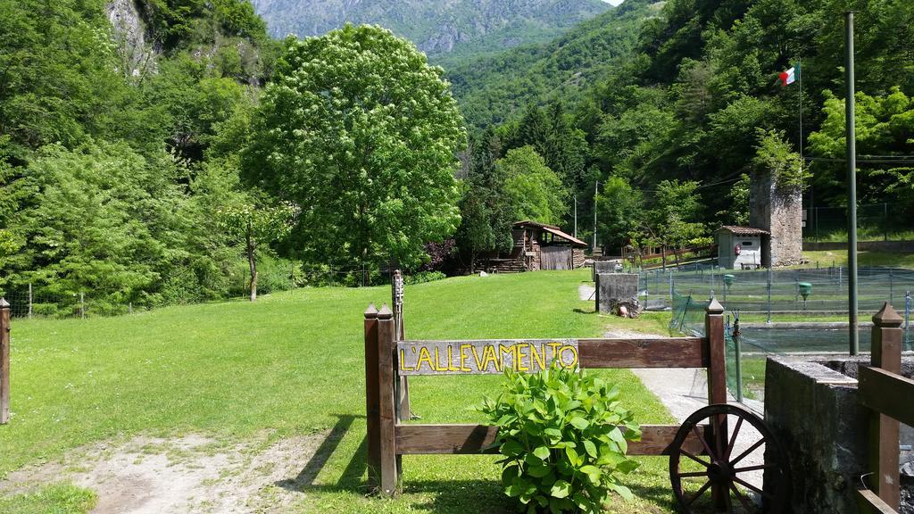 Vakantieboerderij La Vecchia Chioderia *