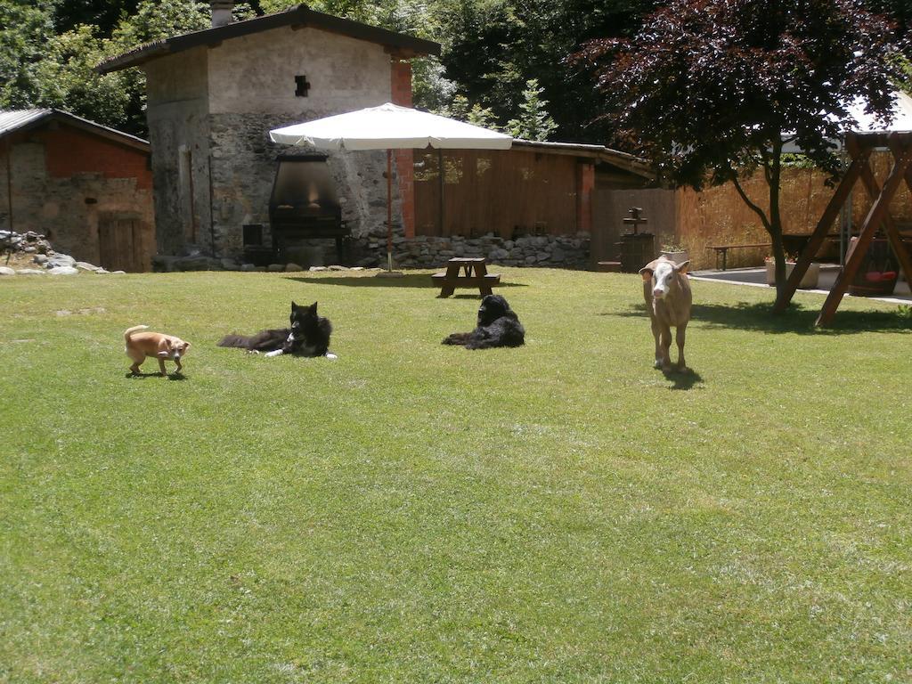 La Vecchia Chioderia Séjour à la ferme *